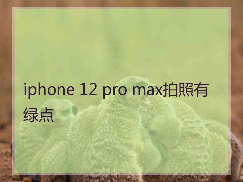 iphone 12 pro max拍照有绿点