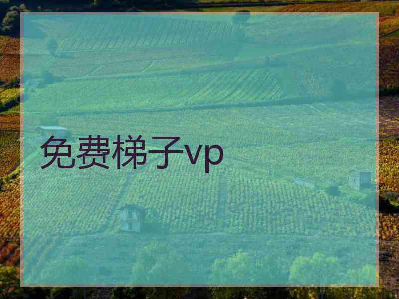 免费梯子vp