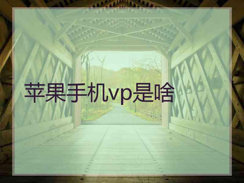 苹果手机vp是啥