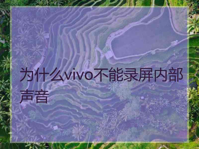 为什么vivo不能录屏内部声音