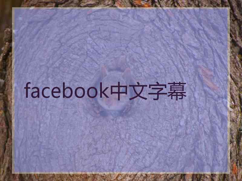 facebook中文字幕