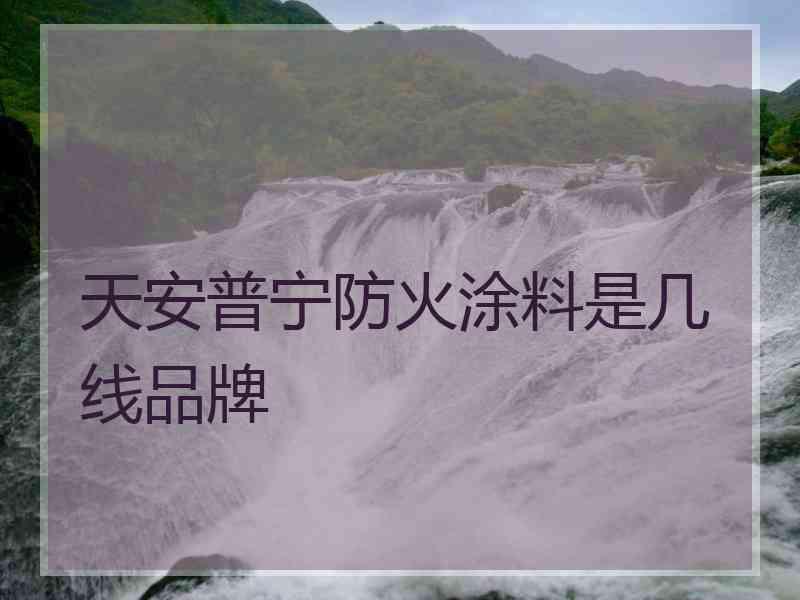 天安普宁防火涂料是几线品牌