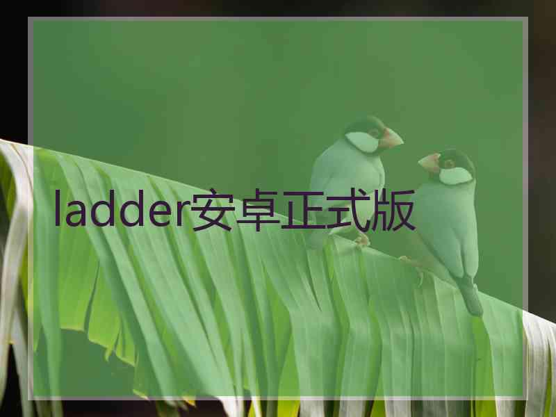 ladder安卓正式版