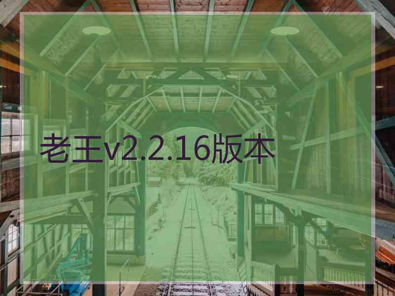 老王v2.2.16版本