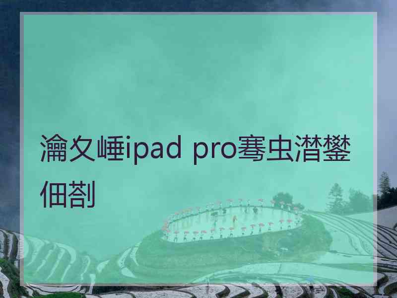 瀹夊崜ipad pro骞虫澘鐢佃剳