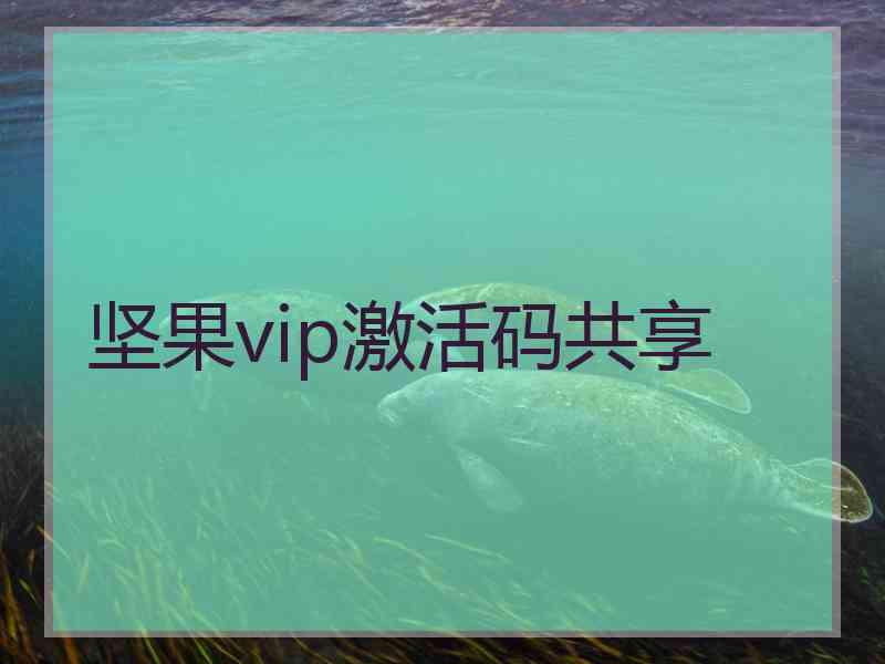 坚果vip激活码共享