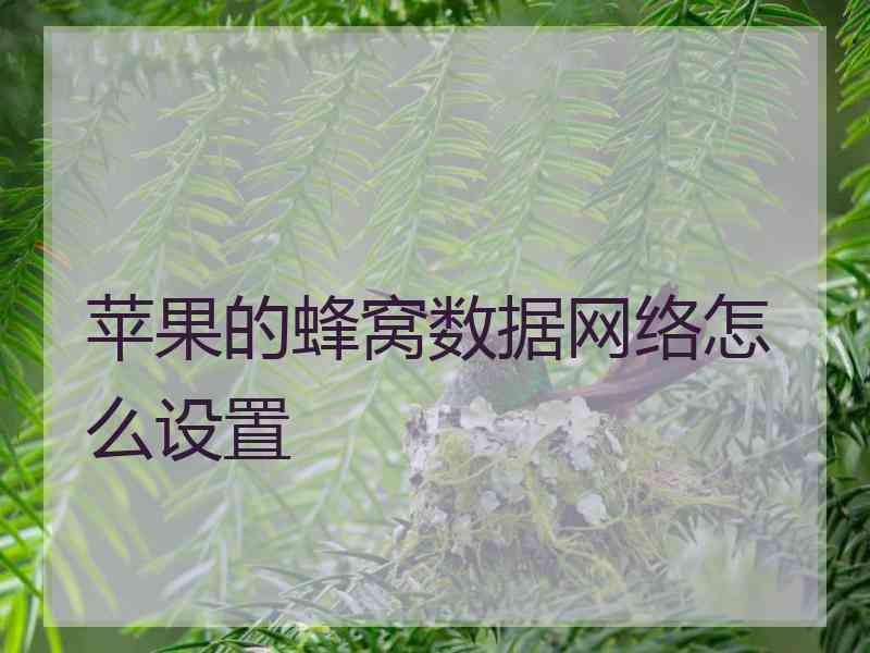 苹果的蜂窝数据网络怎么设置