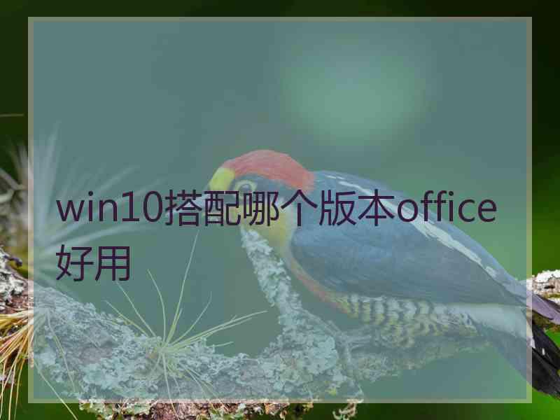 win10搭配哪个版本office好用