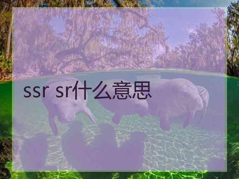 ssr sr什么意思