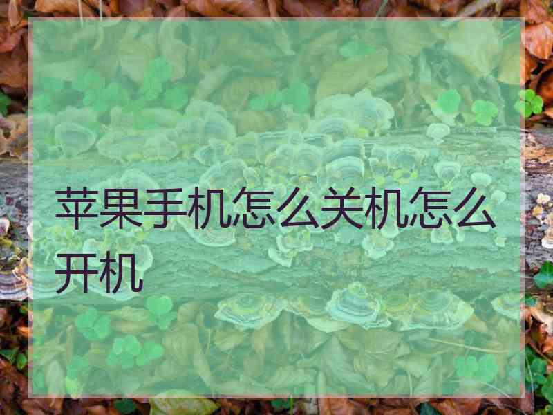 苹果手机怎么关机怎么开机