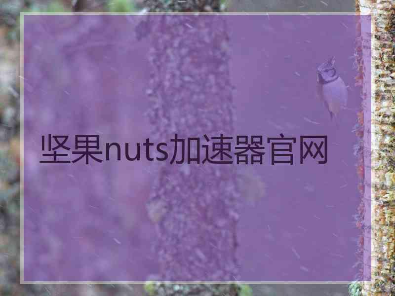 坚果nuts加速器官网