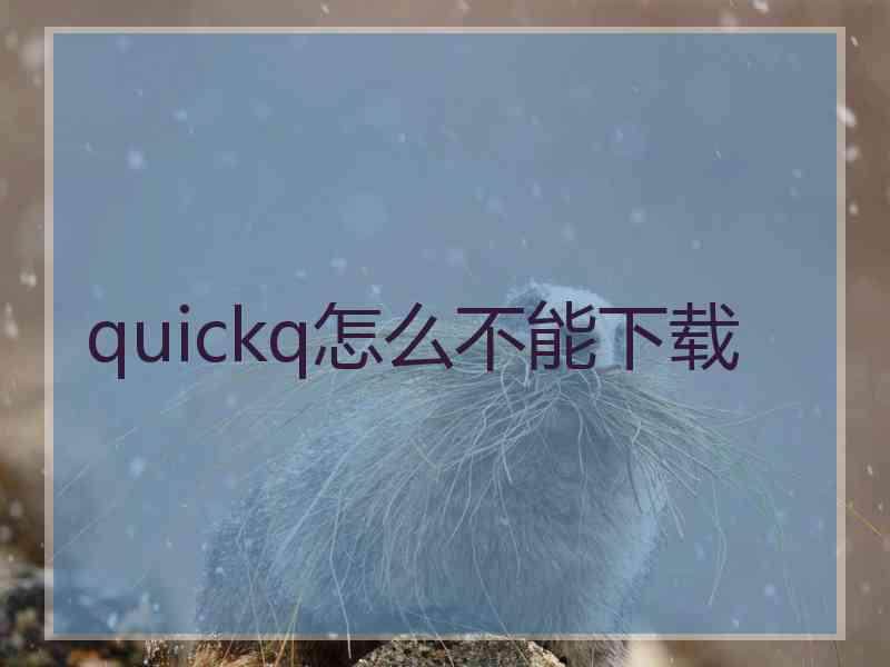 quickq怎么不能下载