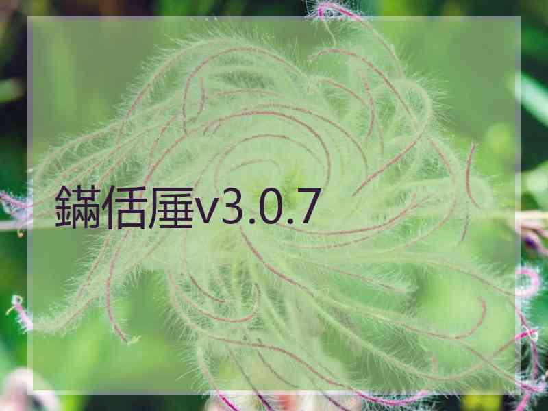 鏋佸厜v3.0.7