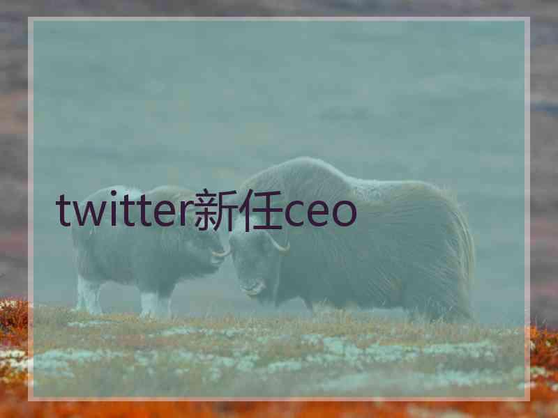 twitter新任ceo