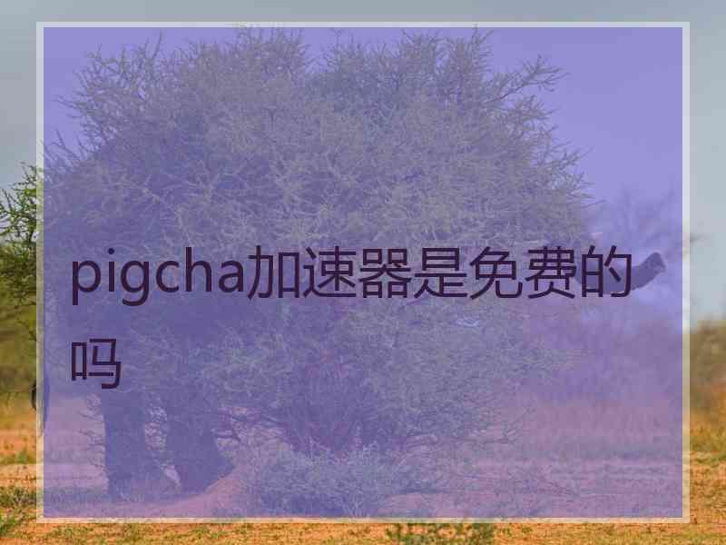 pigcha加速器是免费的吗