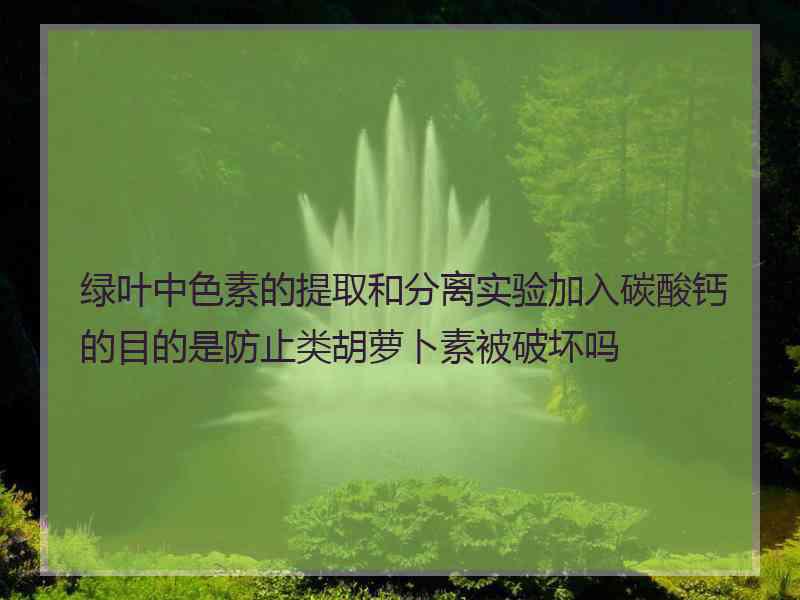 绿叶中色素的提取和分离实验加入碳酸钙的目的是防止类胡萝卜素被破坏吗