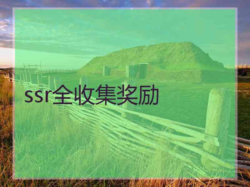 ssr全收集奖励