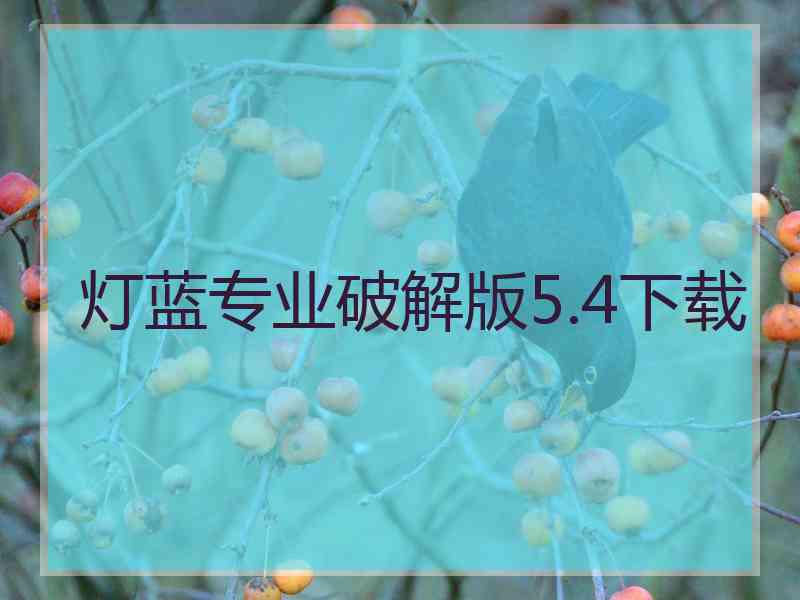 灯蓝专业破解版5.4下载