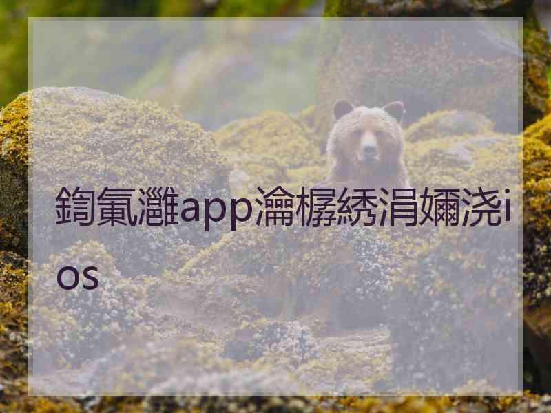 鍧氭灉app瀹樼綉涓嬭浇ios