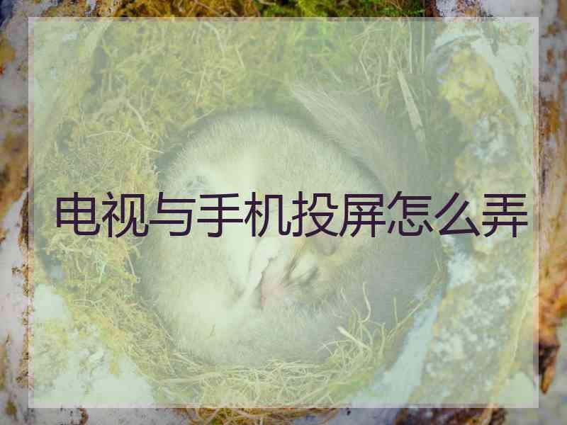 电视与手机投屏怎么弄