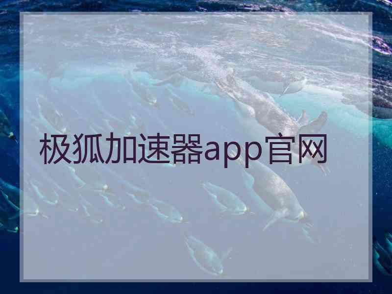 极狐加速器app官网