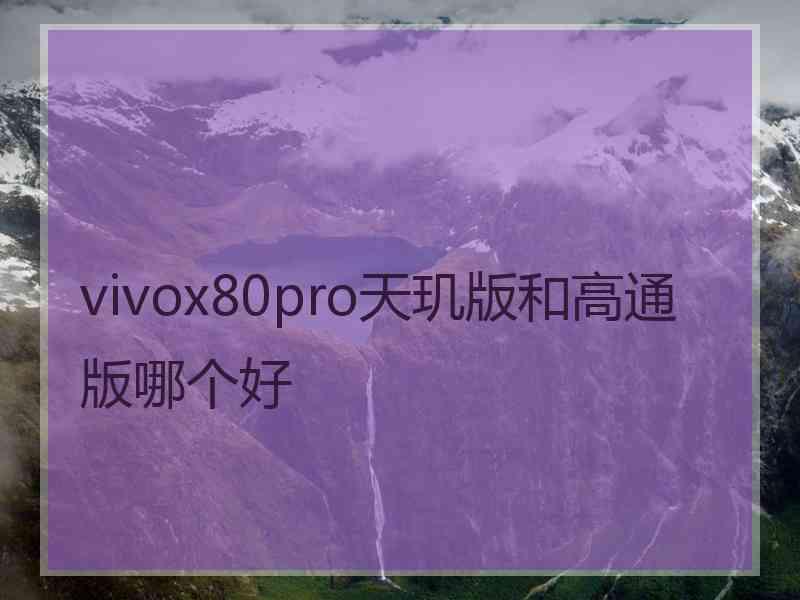 vivox80pro天玑版和高通版哪个好