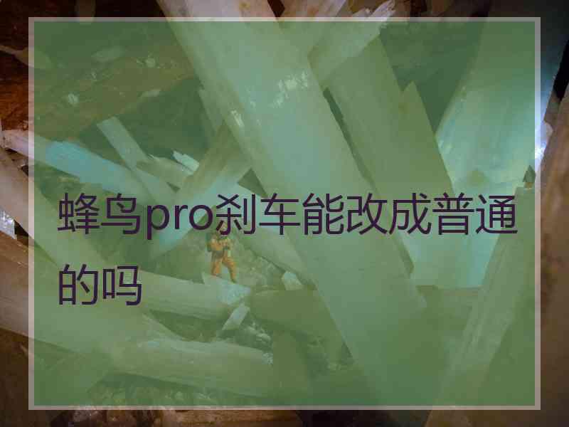 蜂鸟pro刹车能改成普通的吗