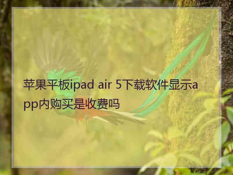 苹果平板ipad air 5下载软件显示app内购买是收费吗