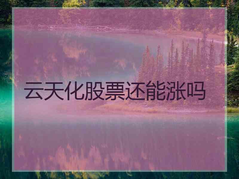 云天化股票还能涨吗