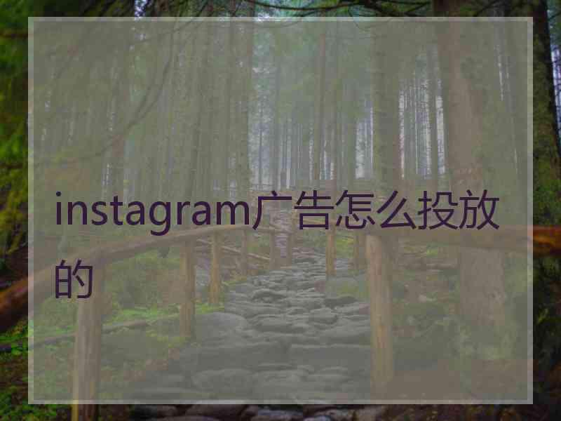 instagram广告怎么投放的