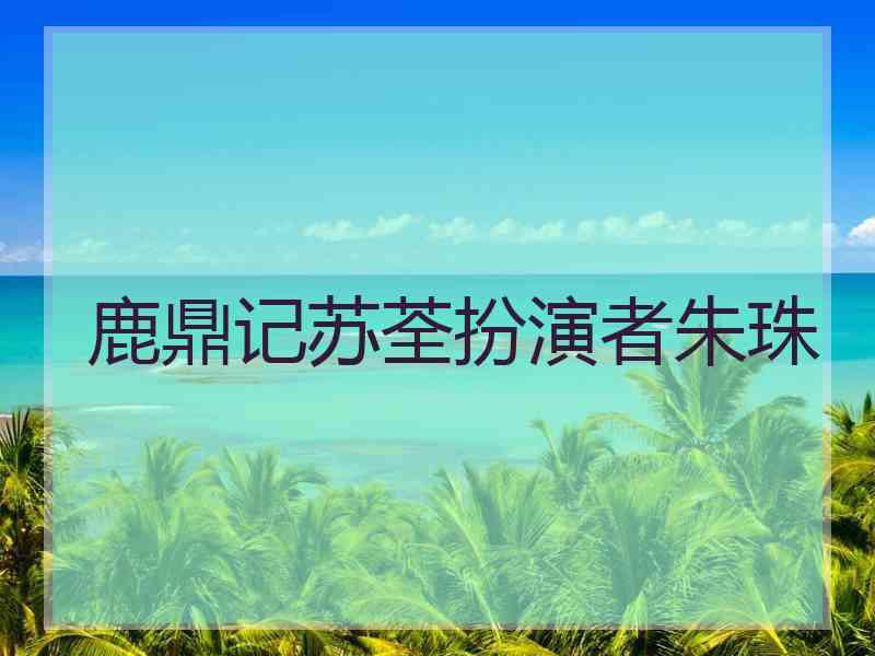 鹿鼎记苏荃扮演者朱珠