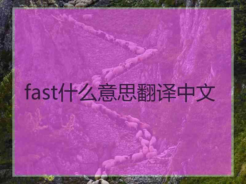 fast什么意思翻译中文