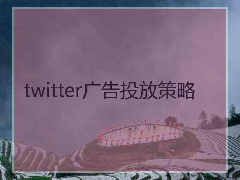 twitter广告投放策略