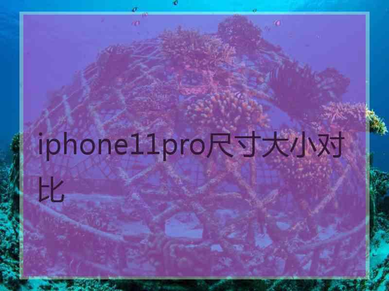 iphone11pro尺寸大小对比