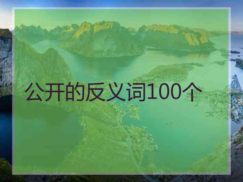 公开的反义词100个