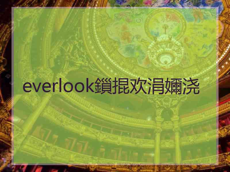 everlook鎻掍欢涓嬭浇