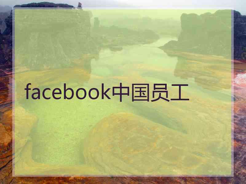 facebook中国员工