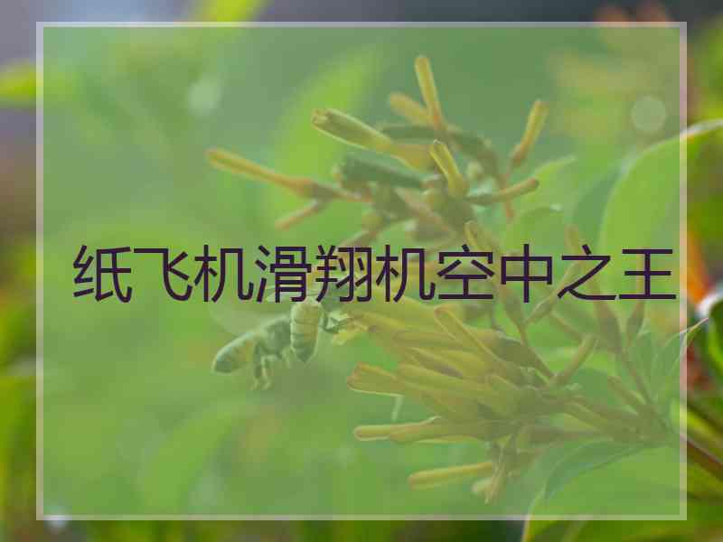 纸飞机滑翔机空中之王