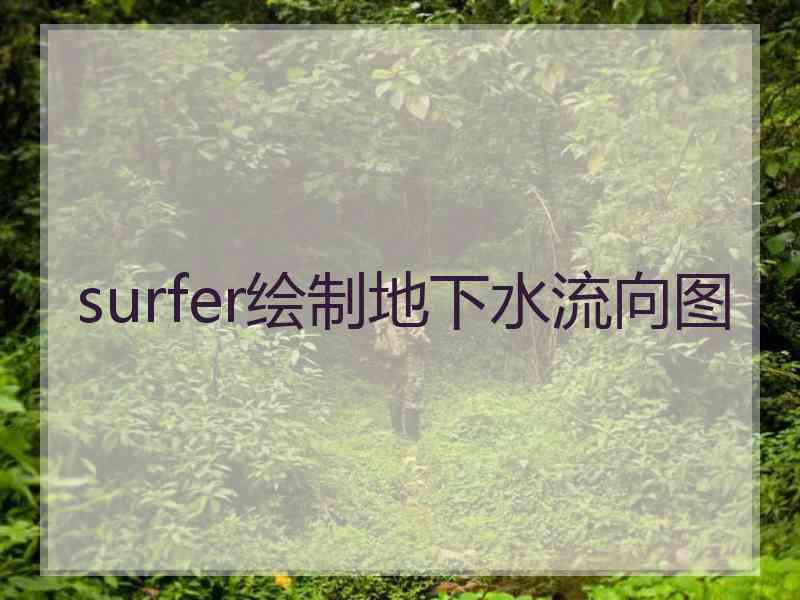 surfer绘制地下水流向图