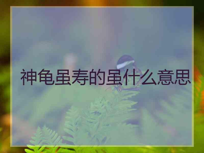 神龟虽寿的虽什么意思