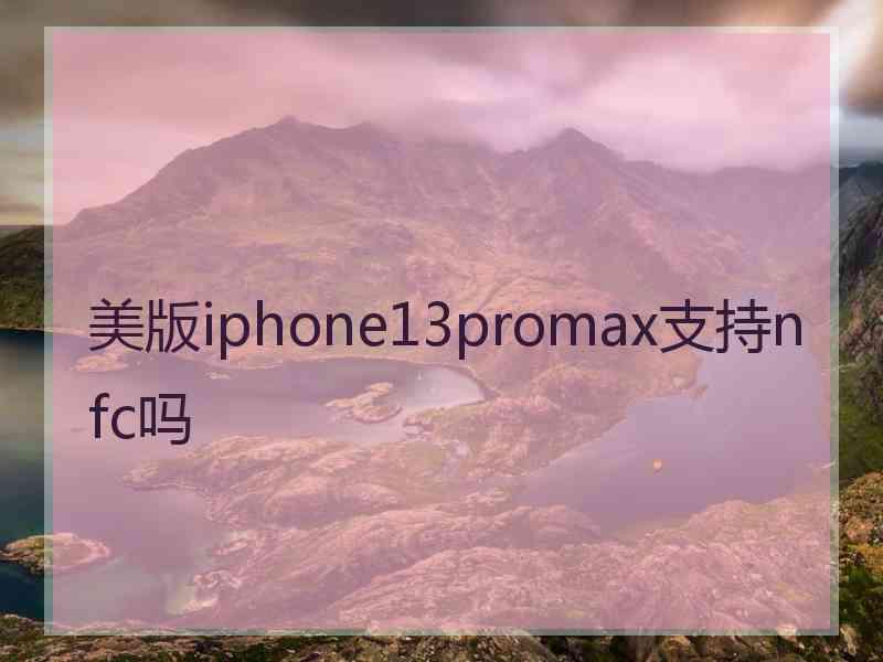 美版iphone13promax支持nfc吗