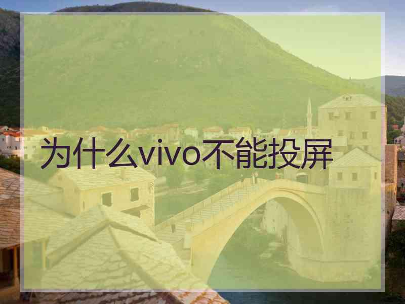 为什么vivo不能投屏