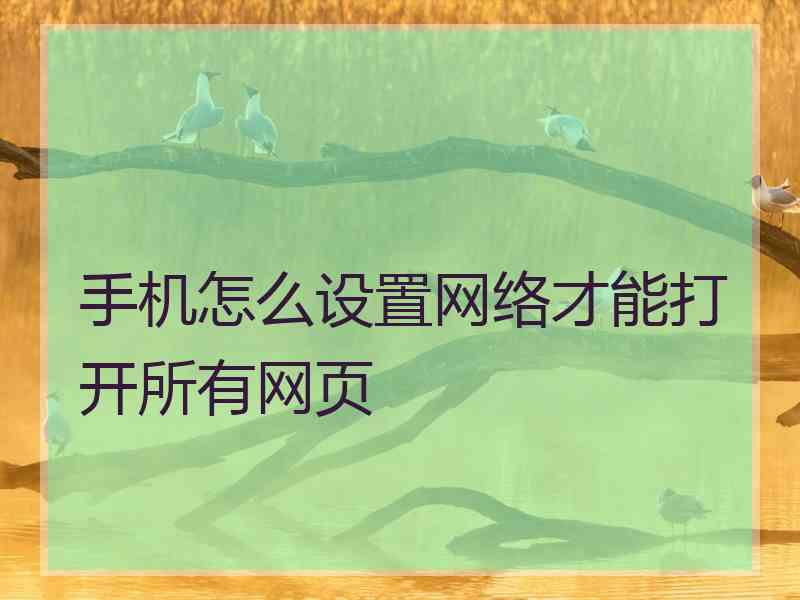 手机怎么设置网络才能打开所有网页