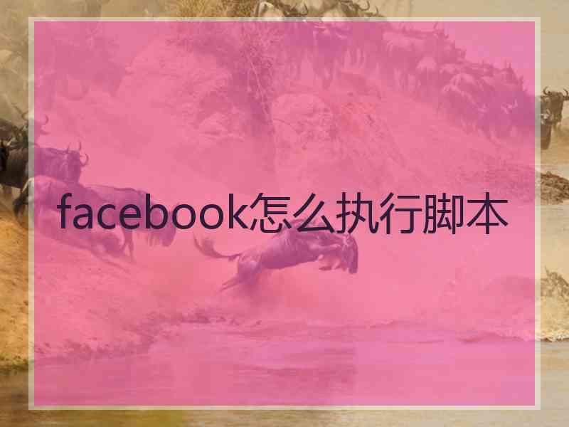 facebook怎么执行脚本