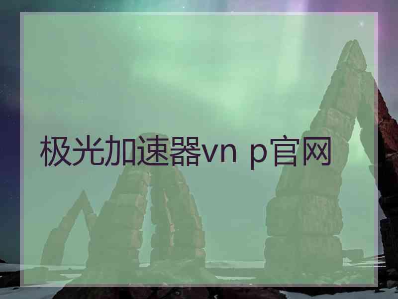 极光加速器vn p官网