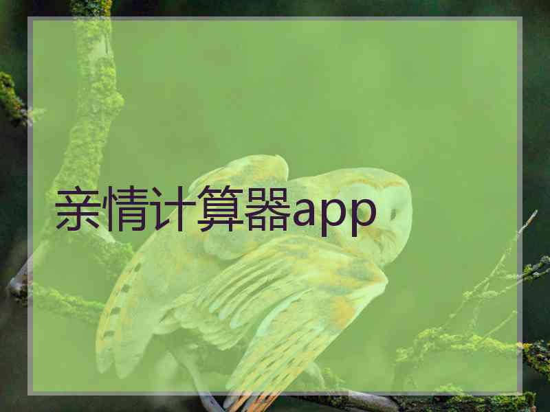 亲情计算器app