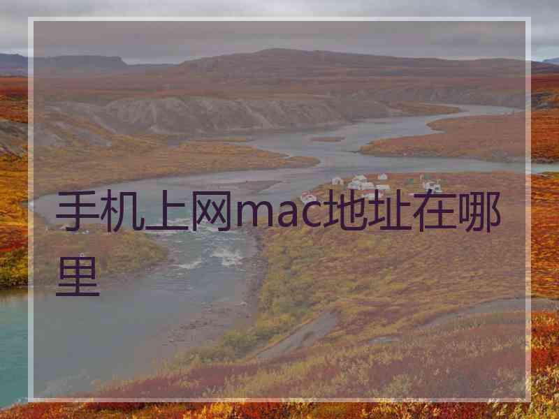 手机上网mac地址在哪里