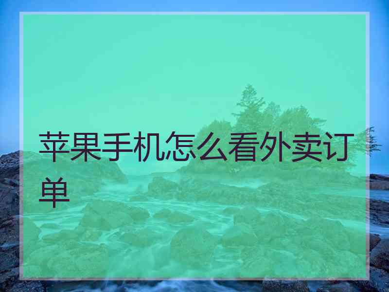 苹果手机怎么看外卖订单