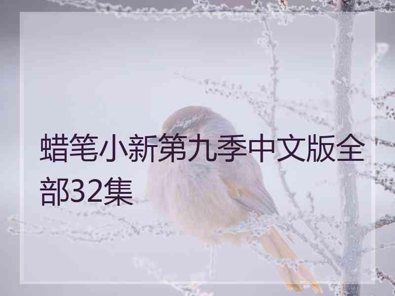 蜡笔小新第九季中文版全部32集