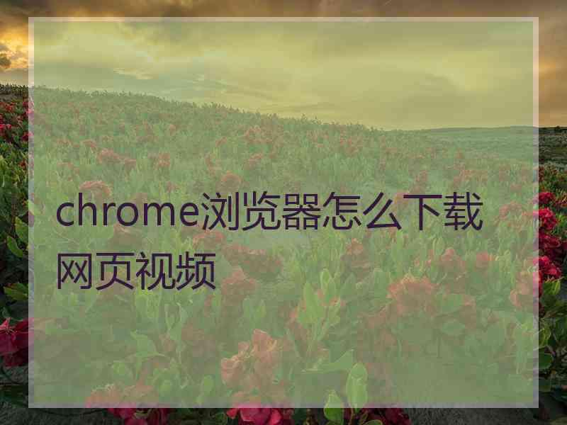 chrome浏览器怎么下载网页视频